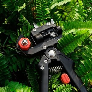 Grafting Toolkit