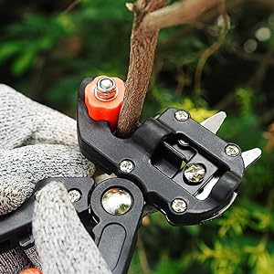Grafting Toolkit