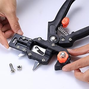 Grafting Toolkit