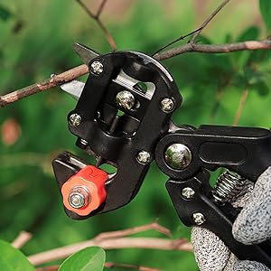Grafting Toolkit